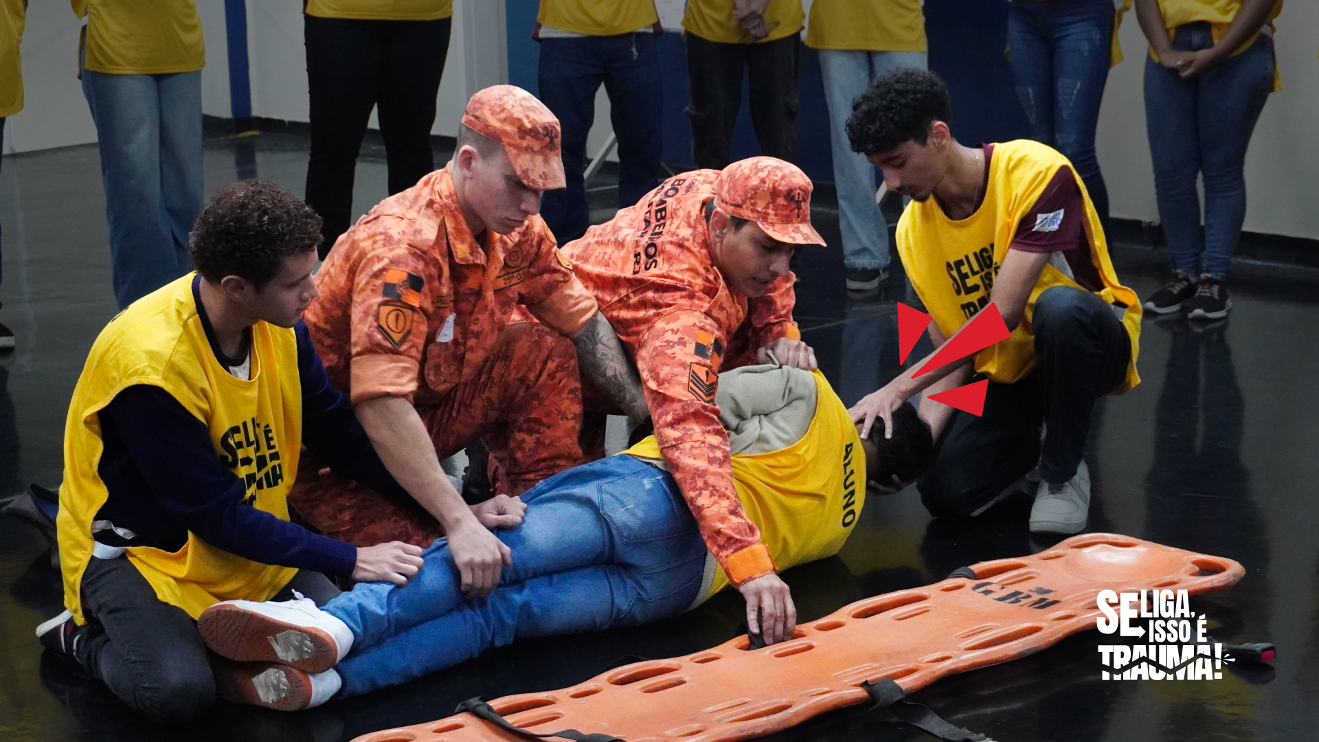 Site-Trauma-header